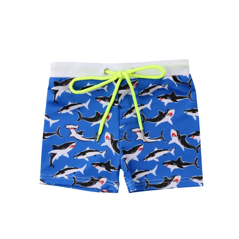 Assort. boy swim trunk