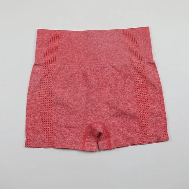 High Waist Workout Shorts Vital Seamless